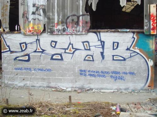 Zeab Rest In Peace. Bref, Eyone, Blode, Sabre, Oby, Tréa, Resk, Frez, Spadz. TPKingz !