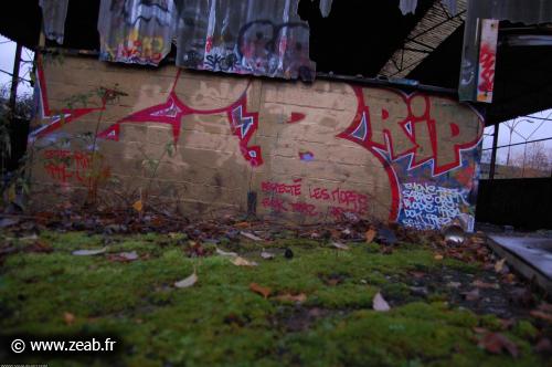 Fresque ZIB RIP "Respectez les morts, Fuck les toyz" à Taverny. Merci à maquis-art.com